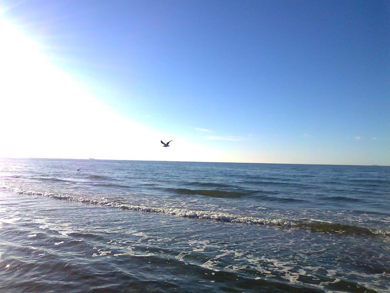 Flat With Sauna In Rerik On The Baltic Sea Esterno foto